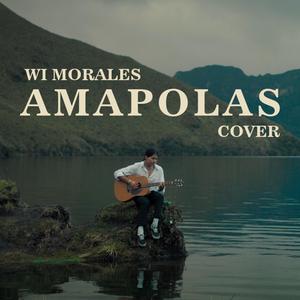 Amapolas (Acoustic)