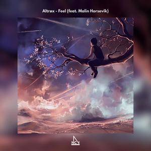 Feel(feat. Malin Horsevik)