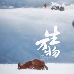 万物生 (电子超度DJ版)