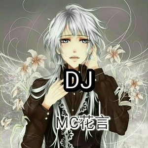 盗心贼 (DJ版)封面