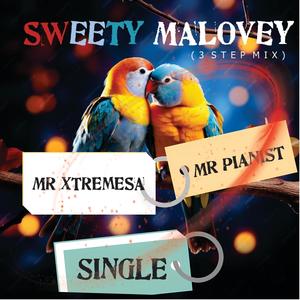 sweety malovey (feat. Mr Pianist)