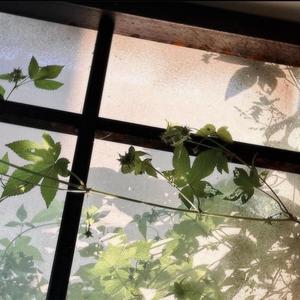 tear it off (feat. Max Ruben) (Explicit)