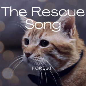 The Rescue Song