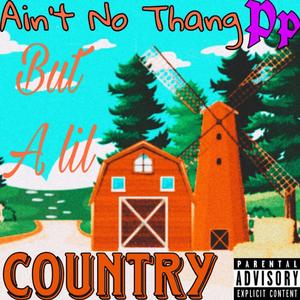 Aint No Thang But A Lil Country