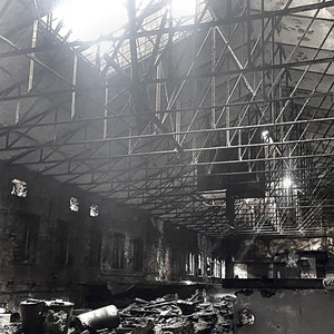 Грибница (Explicit)