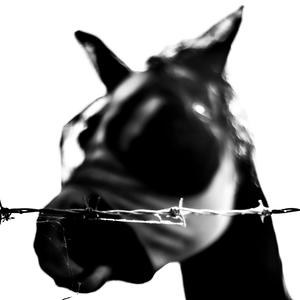 DO IT IN MY SLEEP (feat. Nasty Jack) (Explicit)