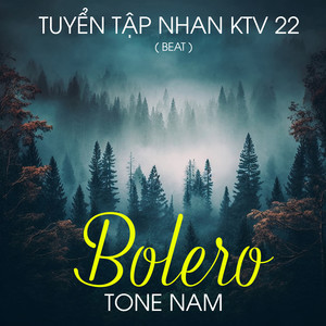 Tuyển Tập Nhan KTV 22 (Beat Bolero Tone Nam)