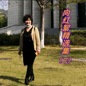 泪蛋蛋掉在酒杯杯里 (女声版)
