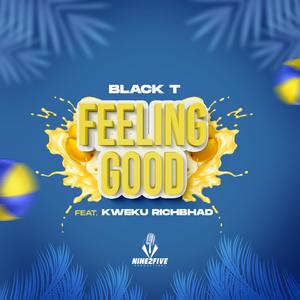 Feeling Good (feat. Kweku Richbhad) [Radio Edit]