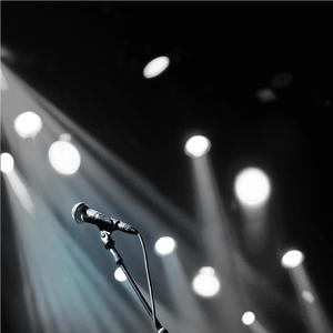 Wedding Singer (Explicit)