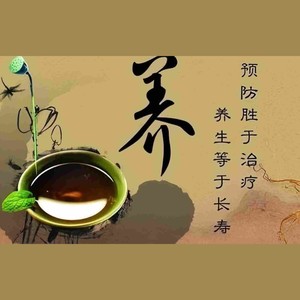 静水流深（养肾篇）