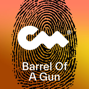 Barrel Of A Gun