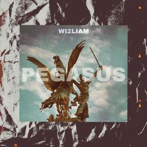 PEGASUS