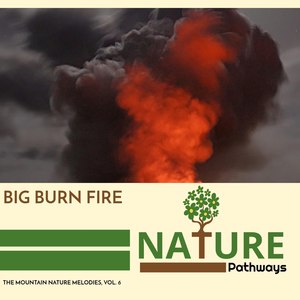 Big Burn Fire - The Mountain Nature Melodies, Vol. 6
