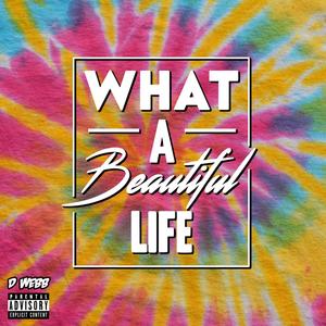 What a Beautiful Life (Explicit)