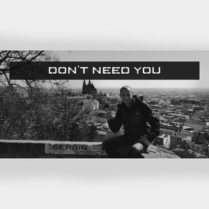 Don't Need You !Remastered!