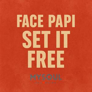 Set It Free (feat. Lerry Müller) (Remix)