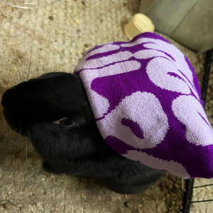 BGOG x RB (Explicit)