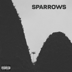 sparrows (Explicit)