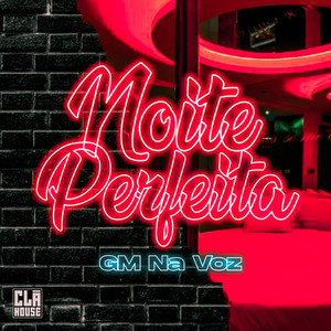 Noite Perfeita (Explicit)