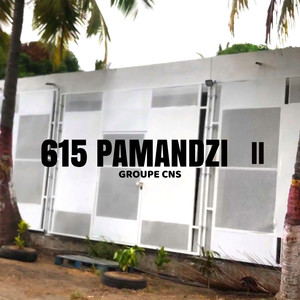 615 Pamandzi 2