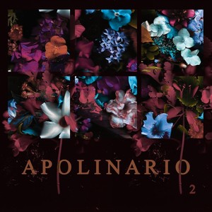 Apolinario - La Huida del Bribón