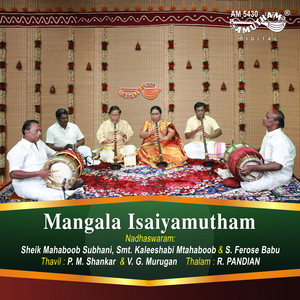 Pidikita Talambrala Pelli - Sree Ragam - Adi