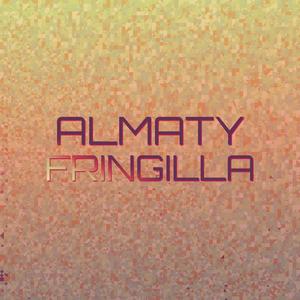 Almaty Fringilla