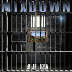 MIXDOWN (feat. Okwow & sentony) [Explicit]