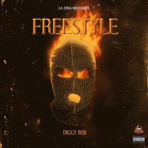 N.M. FREESTYLE (Explicit)