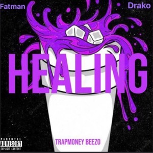 Healing (feat. Fatman & Drakooo) (Explicit)