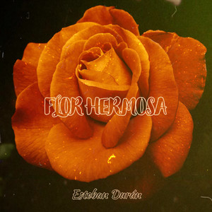 Flor Hermosa