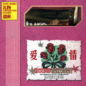 情有独钟 - 华语群星封面