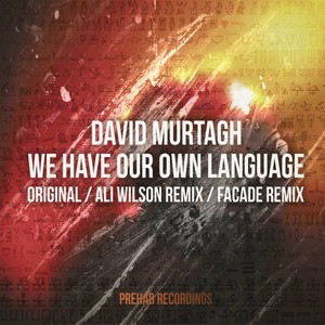 We Have Our Own Language (Ali Wilson Remix)