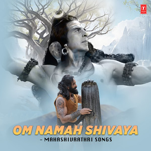 Shiva Shiva Shankaraa (From