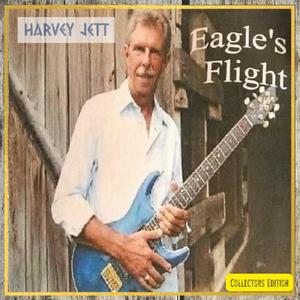 Arkansas Backwoods Pickin' (feat. Harvey Jett)