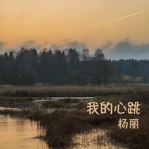 漫游爱太空封面
