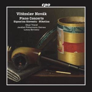 Piano Concerto in E Minor - I. Allegro energico