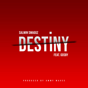 DESTINY (Explicit)