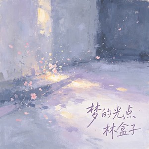 梦的光点封面