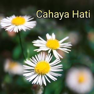 Cahaya Hati