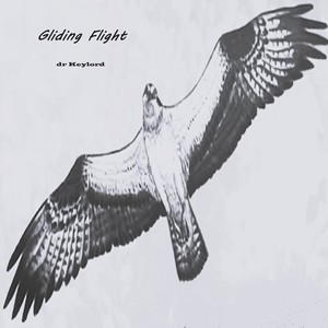 Gliding Flight