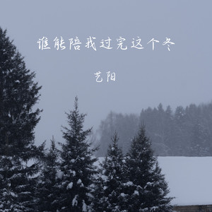 谁能陪我过完这个冬 (DJ彭锐版)