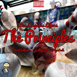 The Principles (Explicit)