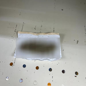 SameDay999 (feat. YPF Ty & Baby8) (Explicit)