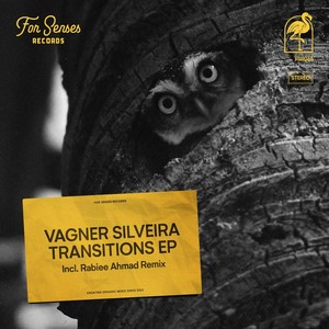 Transitions (Rabiee Ahmad Remix)