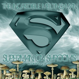 Superman On Shrooms (Original Mix)
