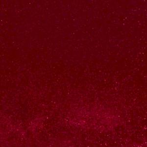 Selfish (feat. TRIIZZY)