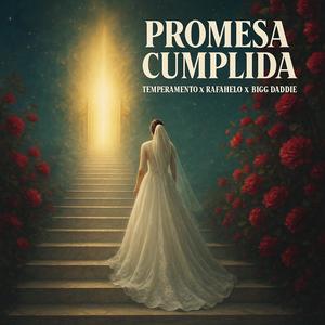 Outro Cumplida (feat. Aly El Mensajero)