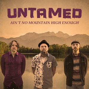 Ain’t No Mountain High Enough (COVER版)